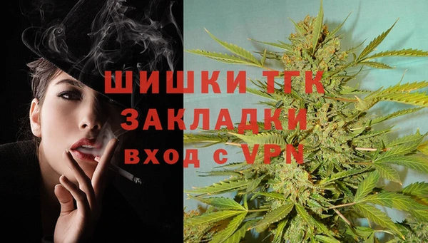 индика Армянск
