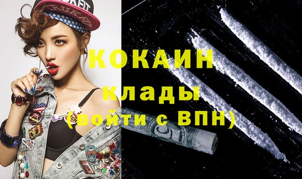 индика Армянск