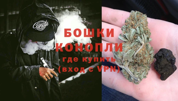 индика Армянск