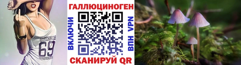 Псилоцибиновые грибы Cubensis  Саки 